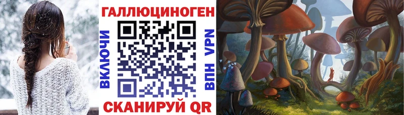 Галлюциногенные грибы прущие грибы  Дальнереченск 